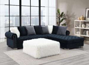 Style Home Furniture Sectional - U303