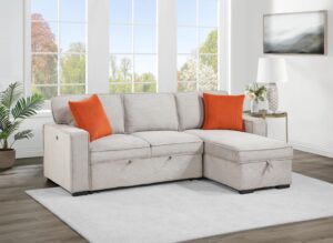 Style Home Furniture Sectional - U393
